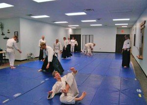 Ed Di Marco Sensei Training