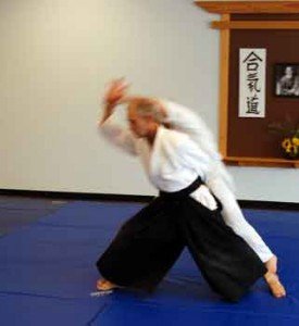 2011 Summer Seminar