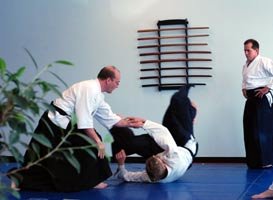 Lane Sensei Seminar