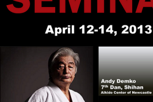 Spring 2013 Seminar