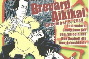 Brevard Aikikai Christmas Seminar