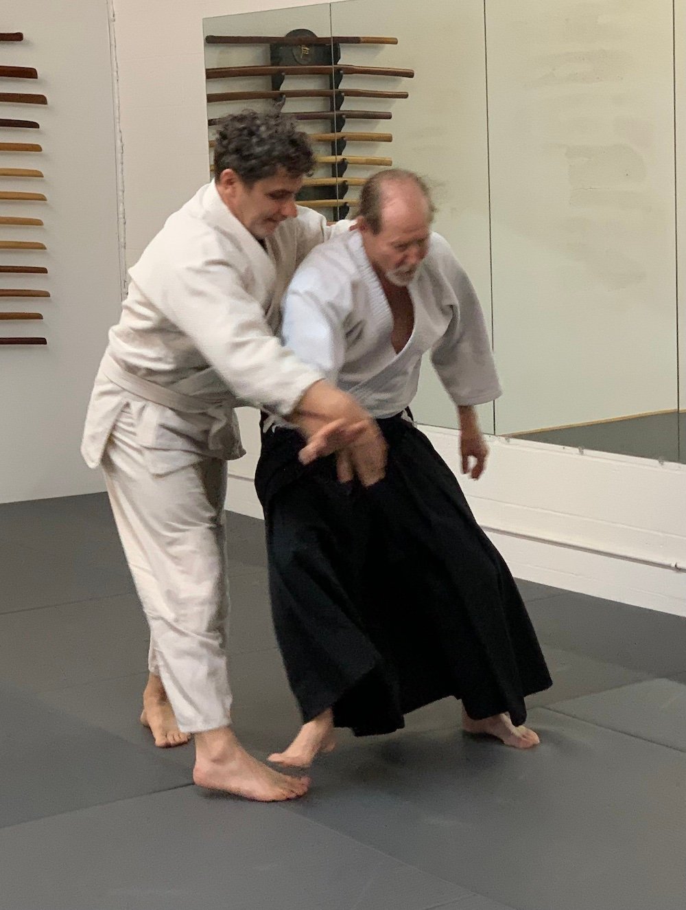 Brevard Aikikai Christmas Seminar