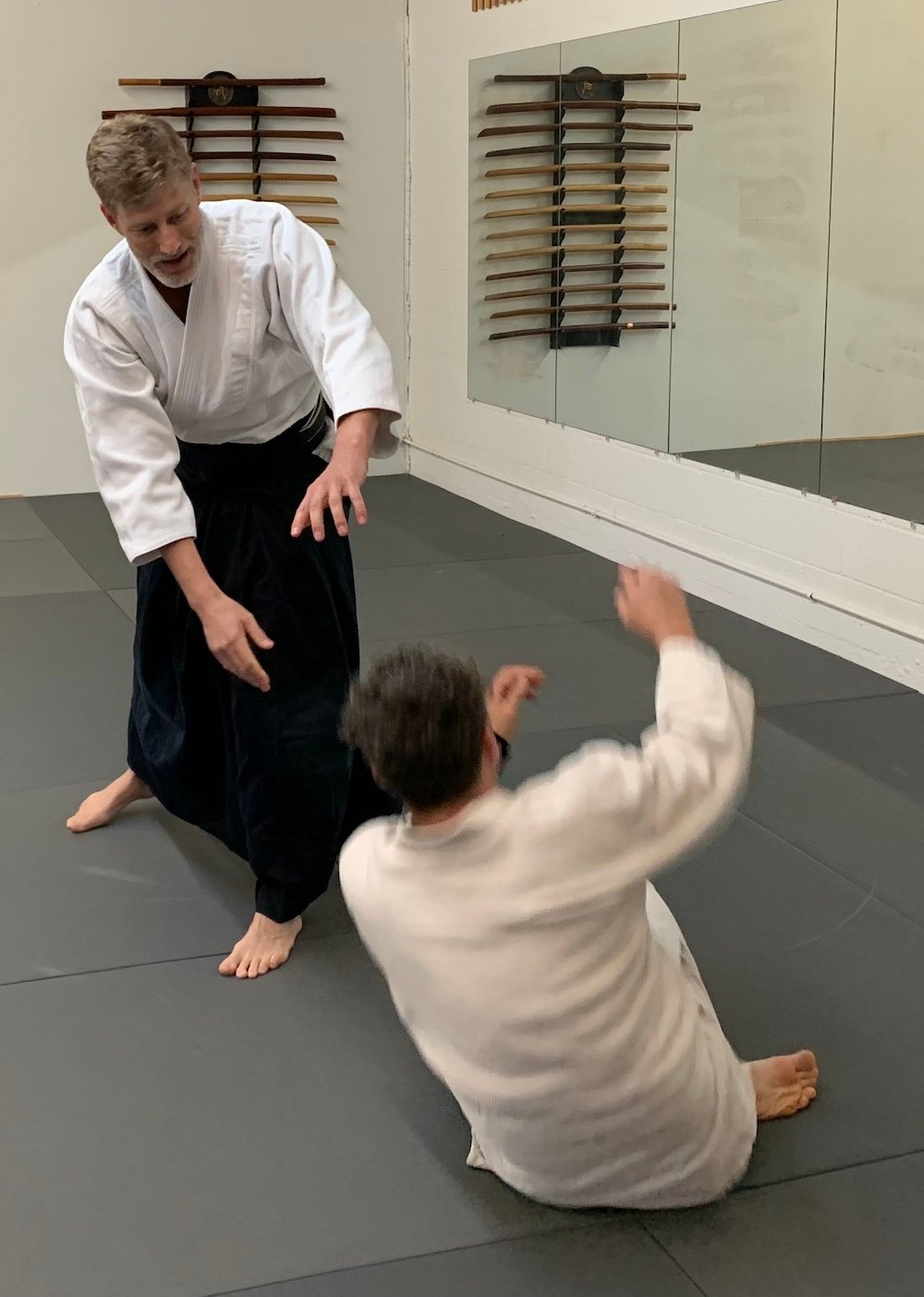 Brevard Aikikai Christmas Seminar