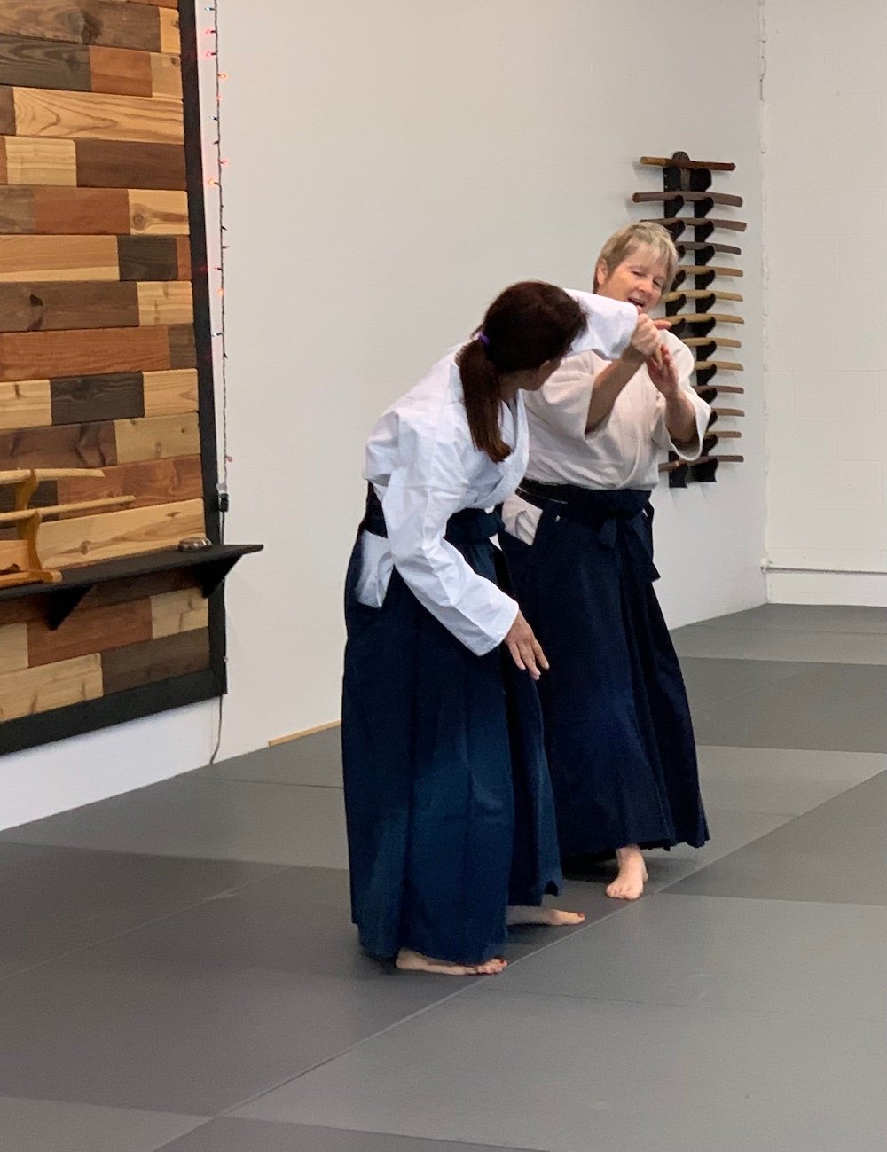 Brevard Aikikai Christmas Seminar