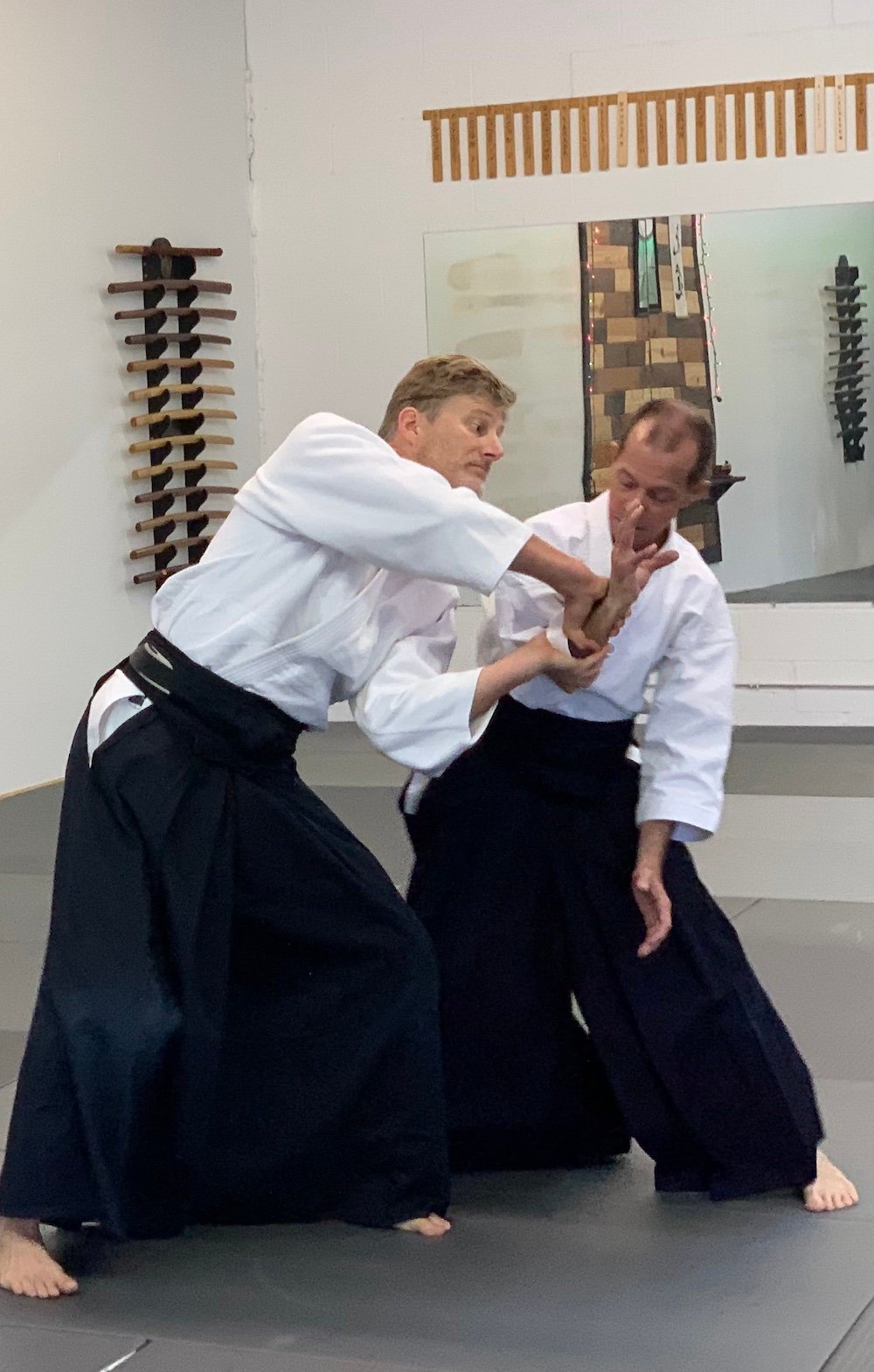 Brevard Aikikai Christmas Seminar